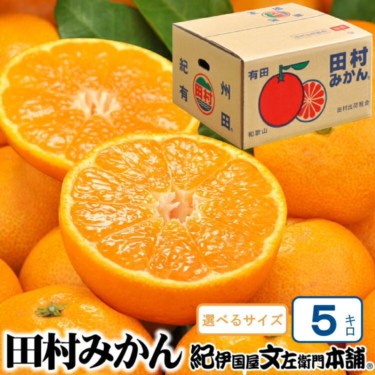 田村みかん 5kg 秀品[選べるサイズ] 大玉 小玉 /紀州和歌山有田郡湯浅町田村地区産 ◆2025年11月下旬〜2026年1月中旬頃に発送(お届け日指定不可) 紀伊国屋文左衛門本舗 / みかん ミカン 柑橘 果物 フルーツ オレンジ 果実 果物 おすすめ 人気 予約