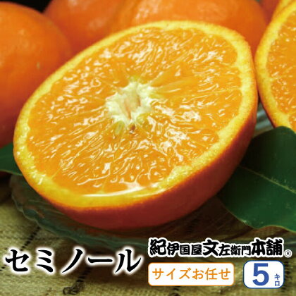 セミノールオレンジ 約5kg/サイズおまかせ　※2024年4月中旬〜5月下旬頃に順次発送予定(お届け日指定不可)　紀伊国屋文左衛門本舗