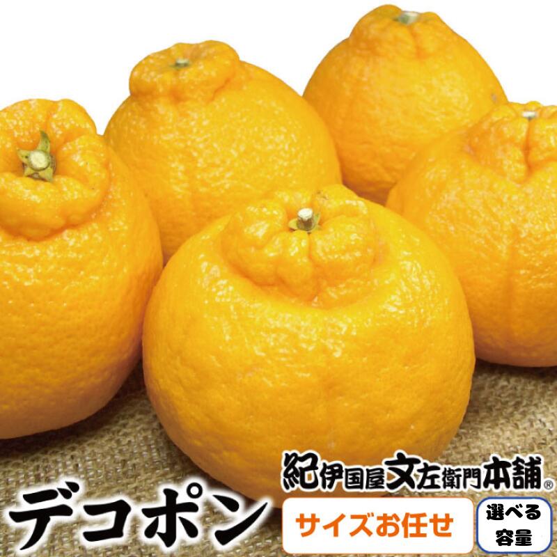 デコ不知火(デコポン)[選べる容量]約3kg 約5kg 秀品 サイズおまかせ 紀伊国屋文左衛門本舗 ※2025年2月上旬〜2025年4月上旬頃に順次発送予定(お届け日指定不可) / みかん 果物 くだもの 柑橘 オレンジ デコポン 不知火 フルーツ 和歌山