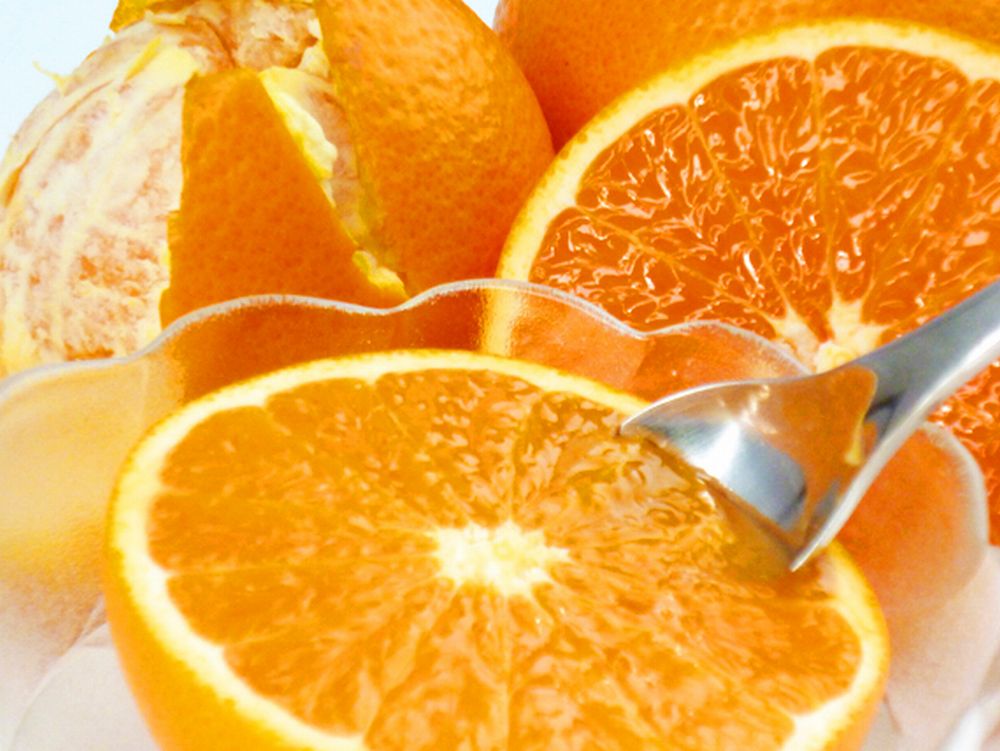 予約ジューシー清見オレンジ 約2.5kg