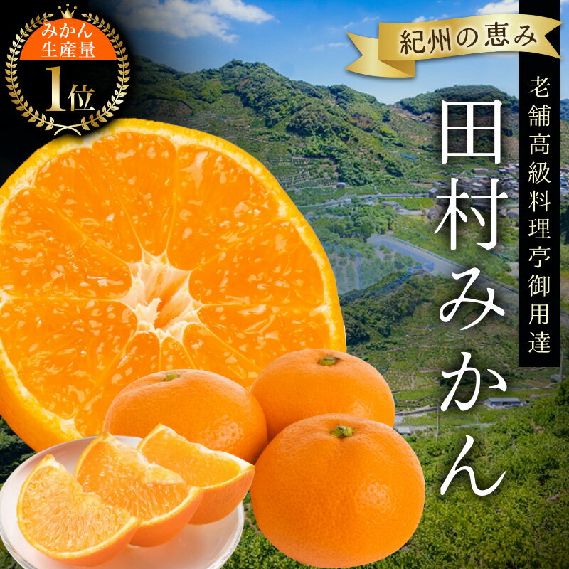 高級ブランド 田村みかん [選べる容量]3kg 5kg 10kg / みかん 有田みかん ブランドみかん 温州みかん 産地直送 柑橘 果物 フルーツ 新鮮 旬 先行 [予約]※2025年11月下旬頃〜2026年1月下旬頃に順次発送(お届け日指定不可)