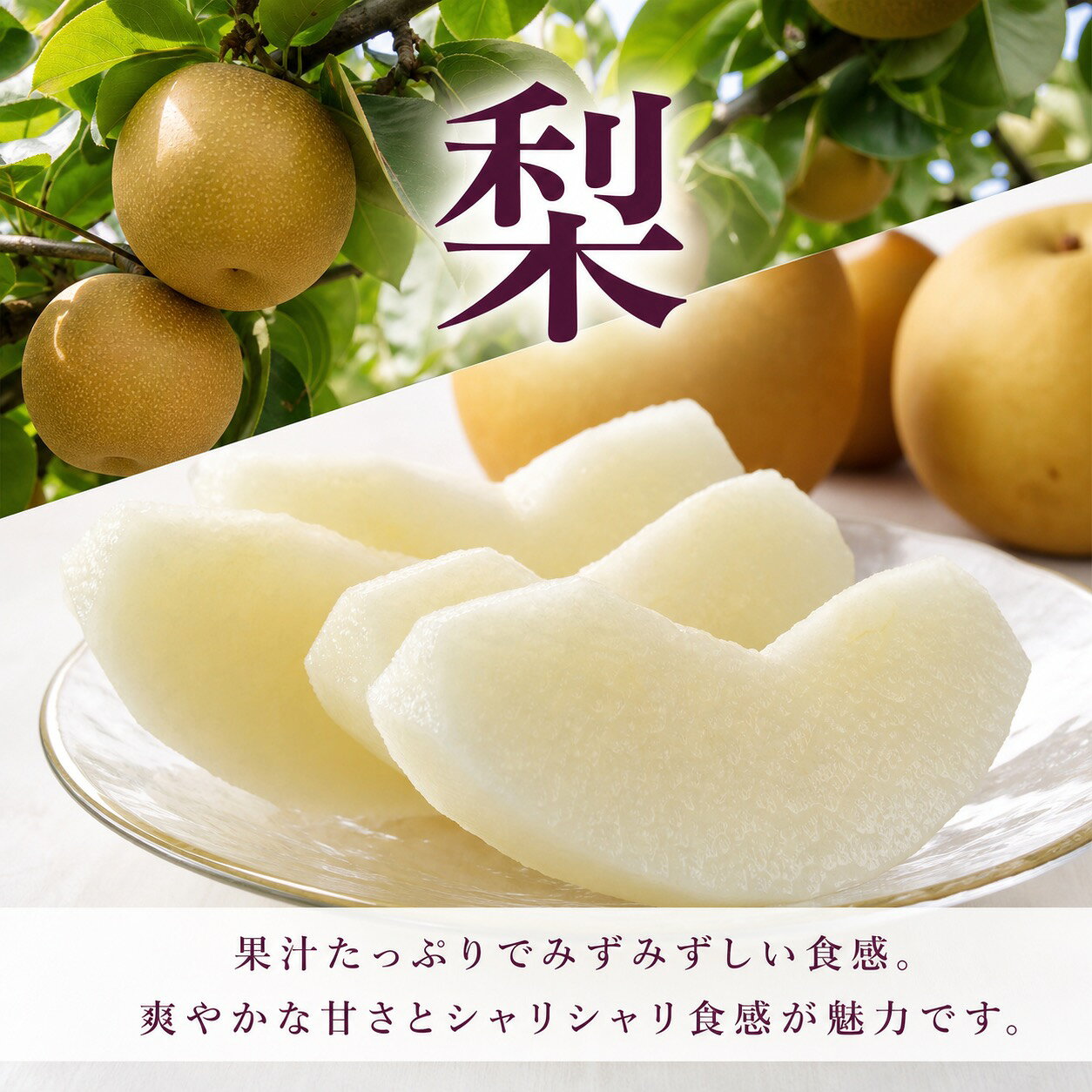 【ふるさと納税】【全3回】紀州和歌山産旬のフルーツ定期便 (桃・梨・ピオーネ) / フルーツ 柑橘 和歌山 もも モモ 梨 なし ぶどう 葡萄 シャインマスカット ピオーネ 紫苑 f304069-susami-10002586 和歌山県すさみ町 サンプル画像3