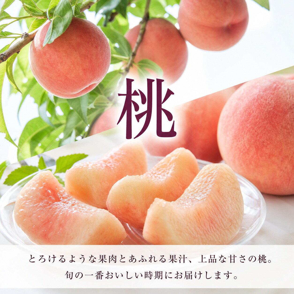 【ふるさと納税】【全3回】紀州和歌山産旬のフルーツ定期便 (桃・梨・ピオーネ) / フルーツ 柑橘 和歌山 もも モモ 梨 なし ぶどう 葡萄 シャインマスカット ピオーネ 紫苑 f304069-susami-10002586 和歌山県すさみ町 サンプル画像2