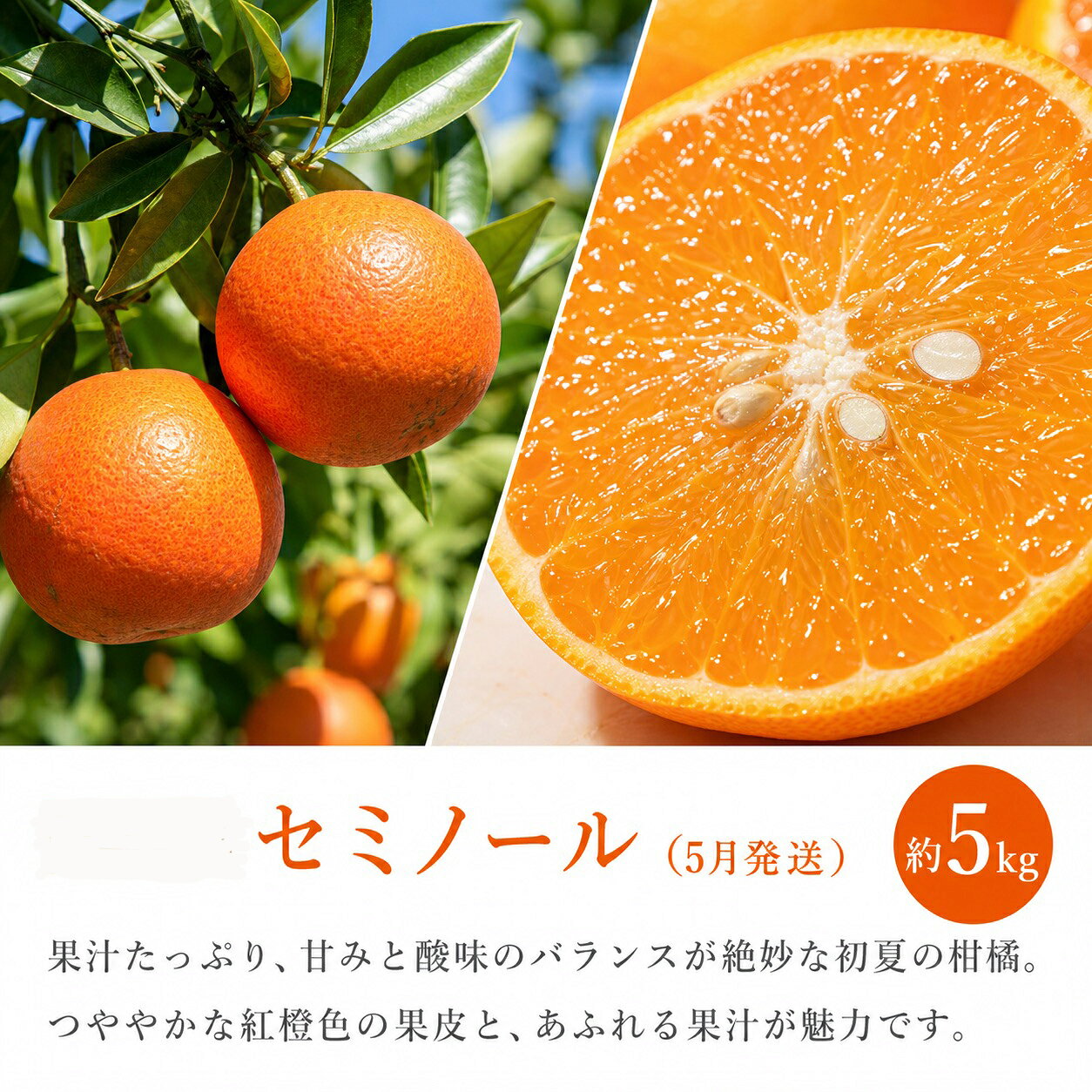 【ふるさと納税】【定期便】【全3回】紀州和歌山産旬のフルーツ定期便（セミノール・スイカ・桃）【5月・6月・7月】