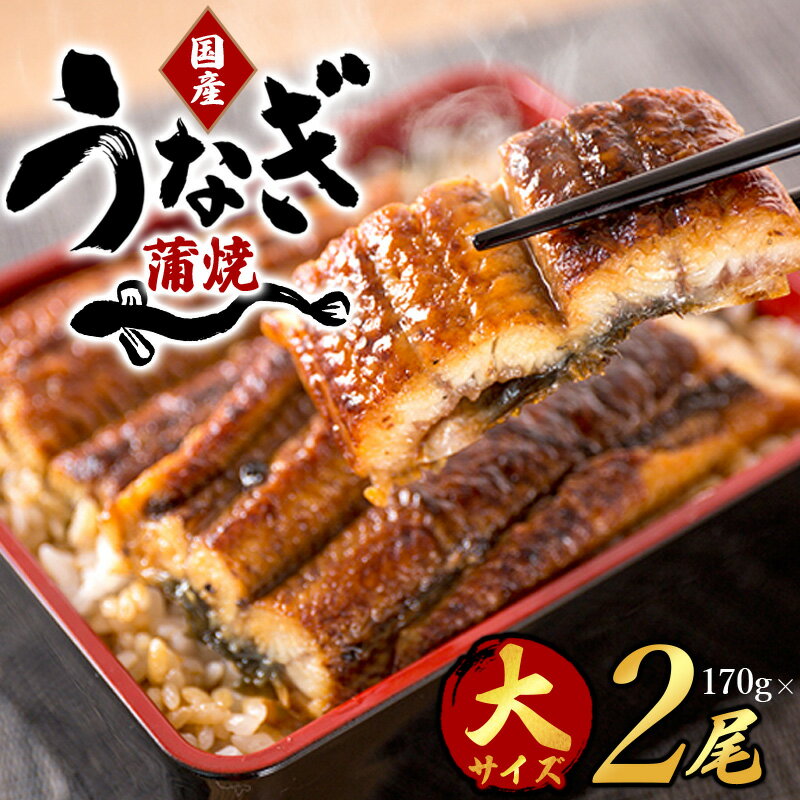【ふるさと納税】 【全2回】－梅－ 国産うなぎ＆熊野牛 スタミナ定期便 / 定期便 鰻 牛肉 蒲焼 蒲焼き 霜降り 赤身 うな重 うな丼 ひつまぶし すき焼き しゃぶしゃぶ 牛丼 肉じゃが おかず 普段使い 人気 贈答 贈り物 ギフト プレゼント お祝い 冷凍便 クール便