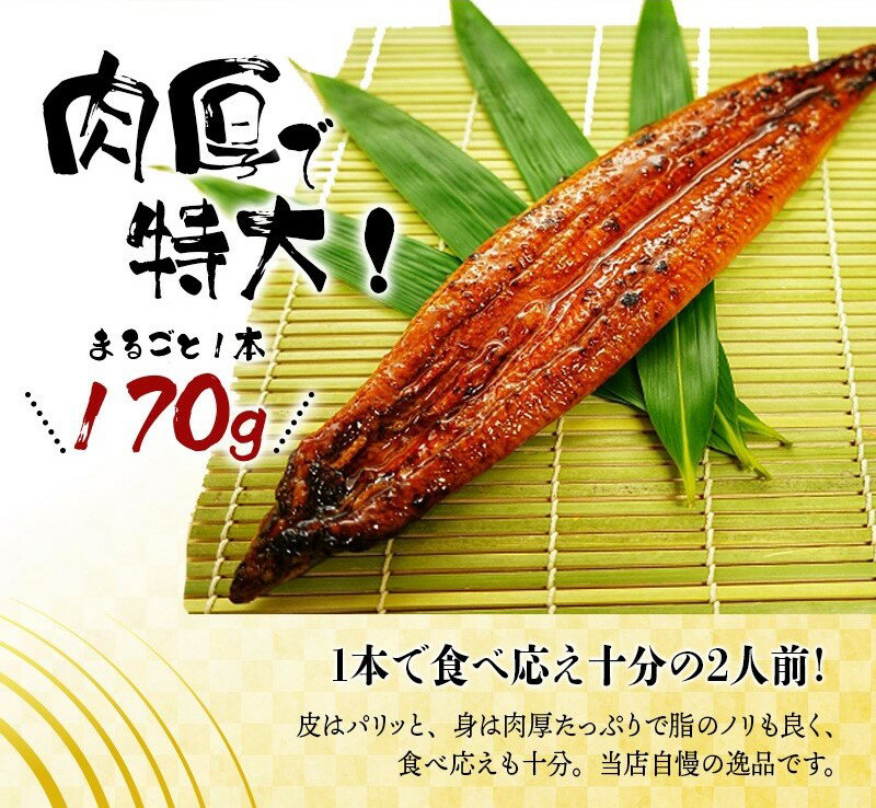 【ふるさと納税】 【全6回定期便】大型サイズ ふっくら柔らか 国産うなぎ蒲焼き / 定期便 うなぎ 鰻 国産 魚介 蒲焼 うな重 うな丼 ひつまぶし たれ 人気 贈答 贈り物 ギフト プレゼント お祝い ご褒美 2尾×6回 計12尾 約2040g