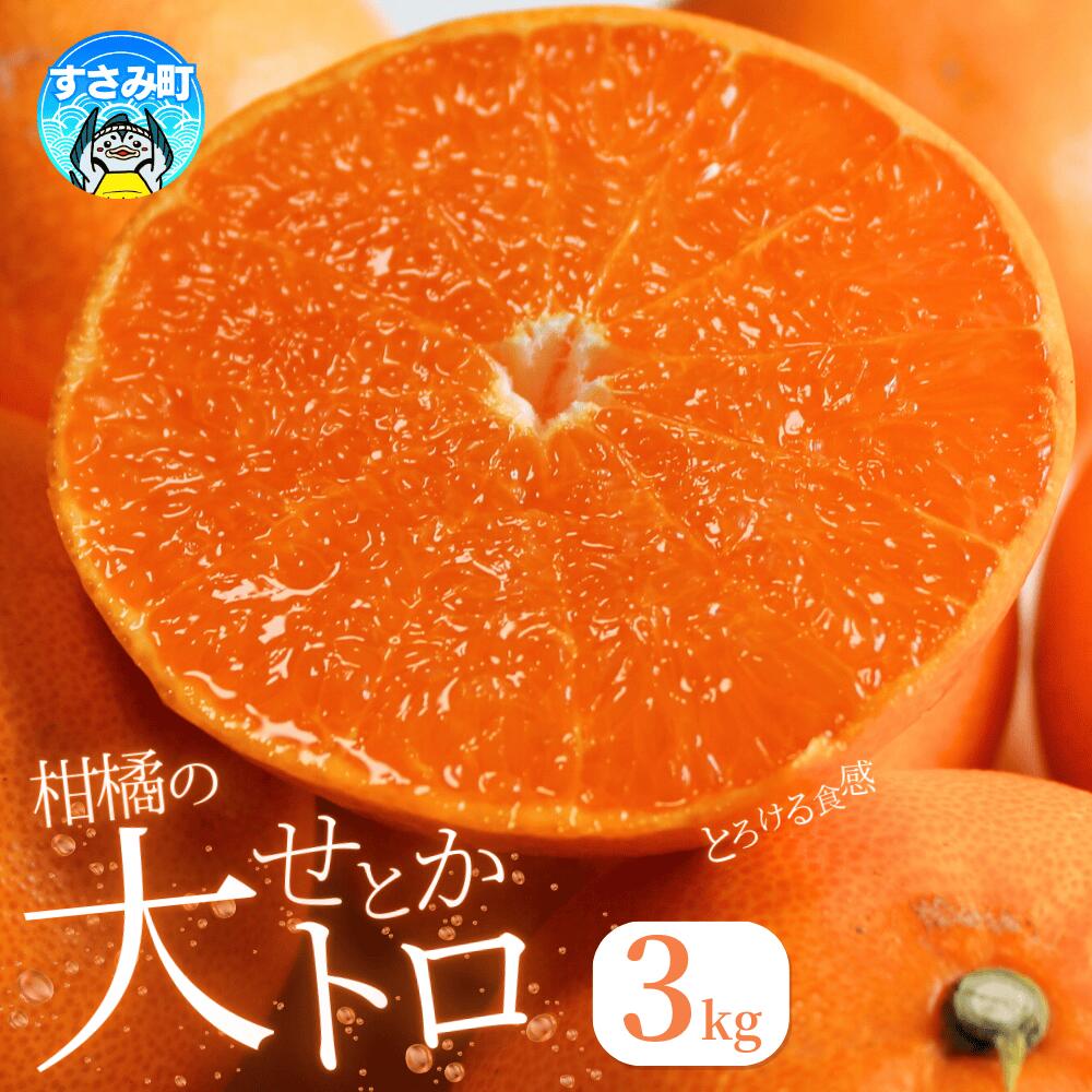 とろける食感!ジューシー柑橘 せとか 約3kg ※2026年2月下旬頃〜2026年3月下旬頃発送(お届け日指定不可) / みかん 果物 フルーツ くだもの 柑橘 和歌山 ミカン 有田みかん