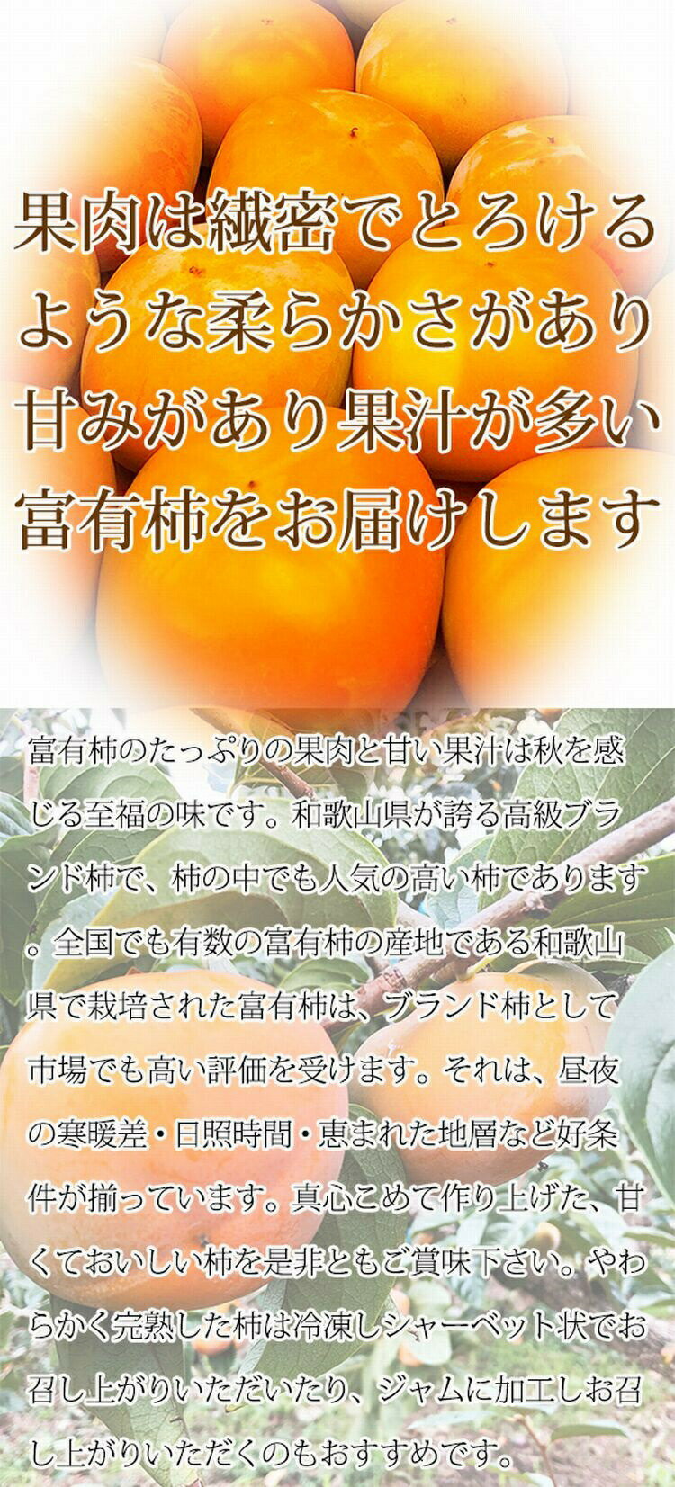 【ふるさと納税】和歌山秋の味覚　富有柿　約7.5kg　※2024年11月上旬頃〜2024年11月下旬頃に発送（お届け日指定不可）