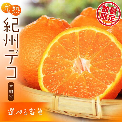【ふるさと納税】果肉プリプリ♪ 完熟紀州デコ(不知火) 【選べる容量】 約3kg 約5kg <2026年2月下旬頃〜2026年3月中旬頃発送予定>(お届け日指定不可)/ デコポン 不知火 みかん ミカン 柑橘 果物 フルーツ 果実 和歌山 人気 くだもの おすすめ 期間限定 【ふるさと納税】果肉プリプリ♪ 完熟紀州デコ(不知火) 【選べる容量】 約3kg 約5kg <2026年2月下旬頃〜2026年3月中旬頃発送予定>(お届け日指定不可)/ デコポン 不知火 みかん ミカン 柑橘 果物 フルーツ 果実 和歌山 人気 くだもの おすすめ 期間限定