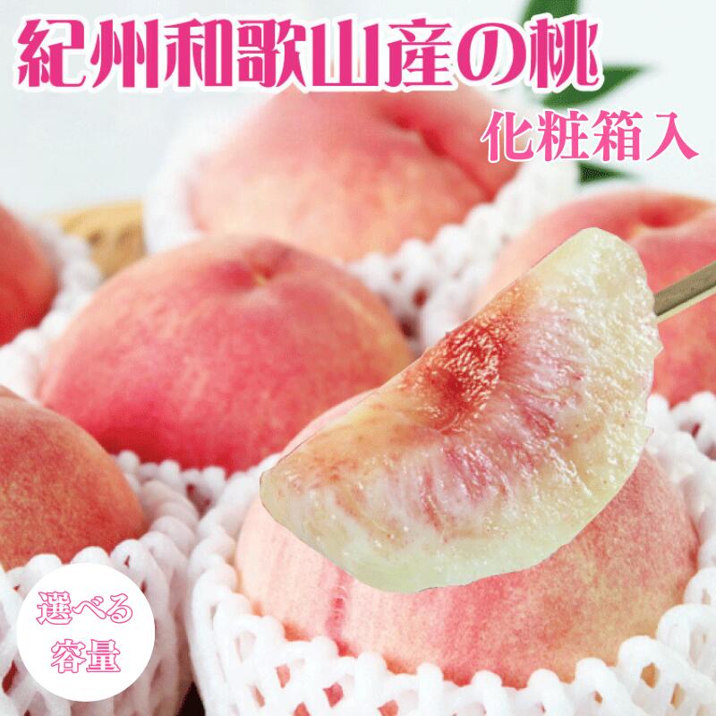 紀州和歌山産の桃 [選べる容量] 約1.8kg 約4kg 化粧箱入 ※2025年6月下旬頃〜2025年8月中旬頃順次発送(お届け日指定不可)/ フルーツ くだもの 果物 人気 期間限定 もも 桃 モモ