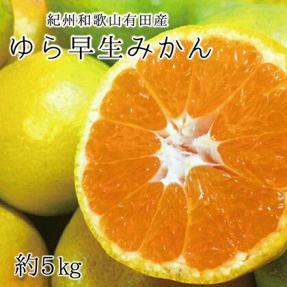 紀州和歌山有田産ゆら早生みかん　5kg　※2024年10月中旬頃〜2024年10月下旬頃順次発送（お届け日指定不可）