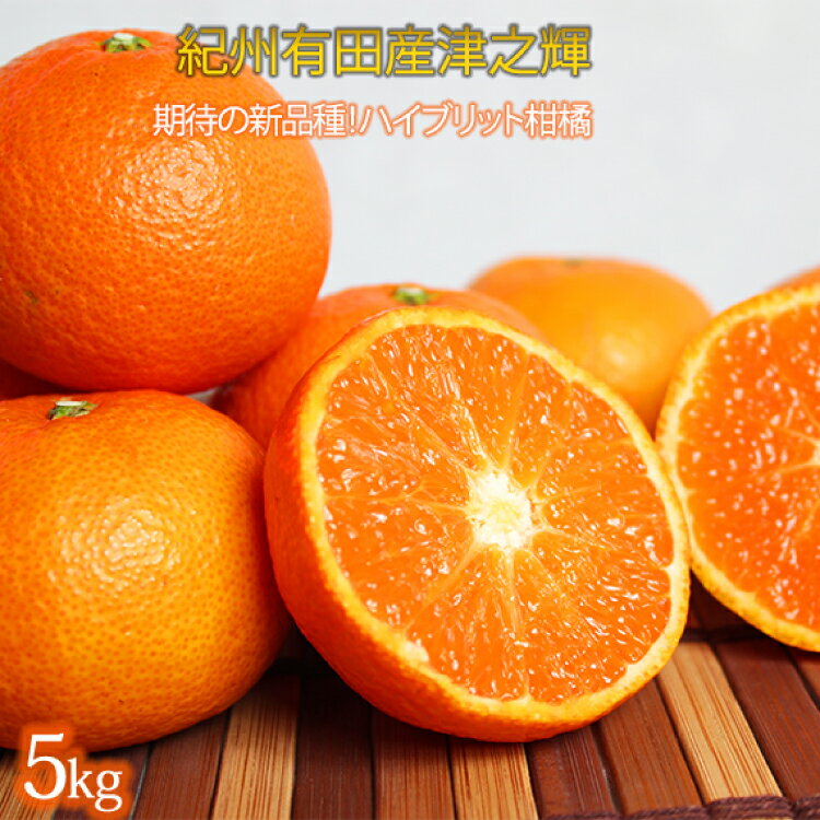 【ふるさと納税】 津之輝(つのかがやき)　5kg【予約】※2025年2月上旬頃～2月下旬頃に順次発送予定(お届け日指定不可)のサムネイル