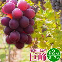 商品画像2