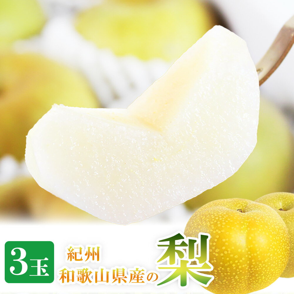 【ふるさと納税】紀州和歌山産の梨 3玉 化粧箱入※2025年8月下旬頃〜9月上旬頃に順次発送 ※日付指定不可 梨 なし ナシ 果物 くだもの フルーツ 甘い