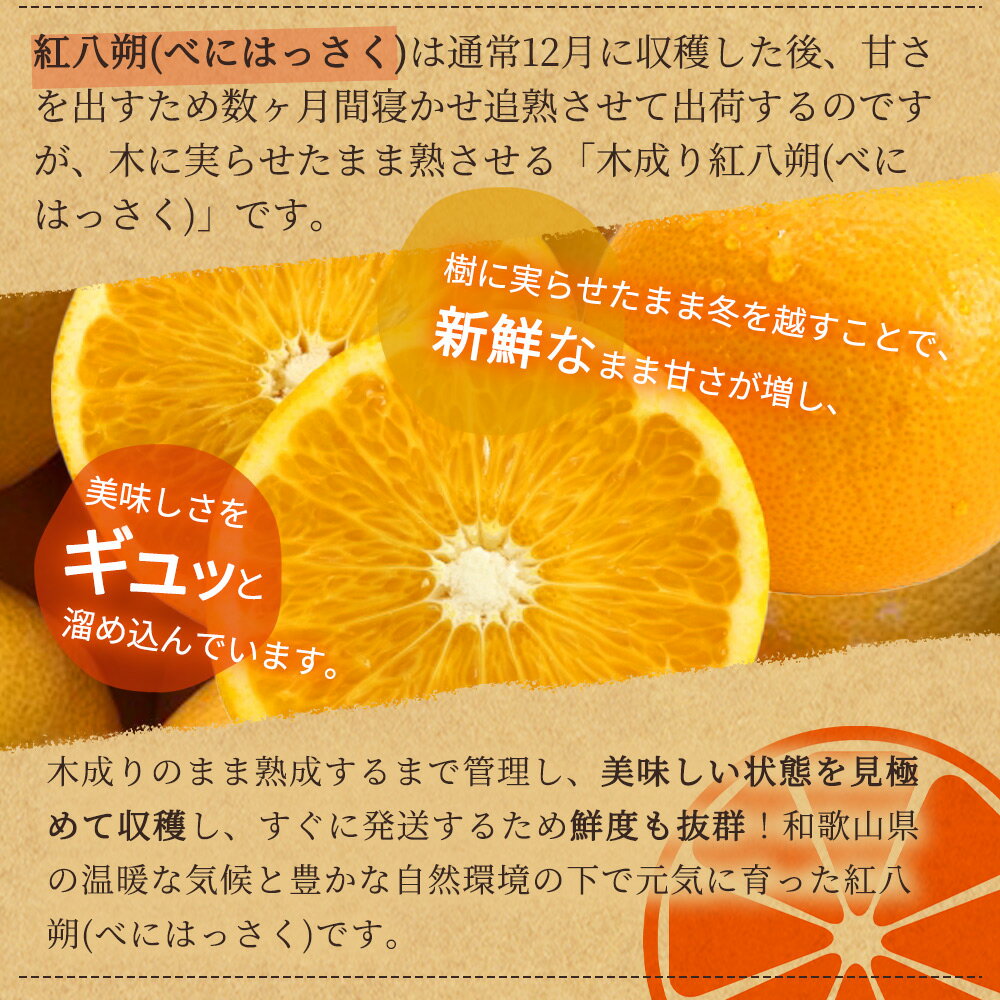 【ふるさと納税】【先行予約】数量限定 鳥取県産梨 王秋（おうしゅう） 3.5kg（5～6玉）