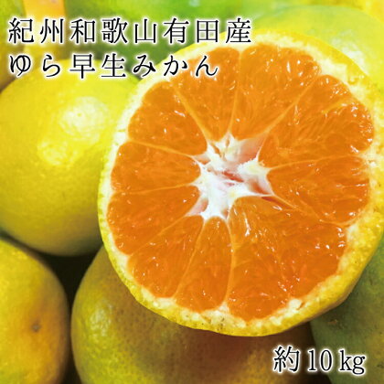 紀州和歌山有田産ゆら早生みかん10kg　※2024年10月中旬頃〜2024年10月下旬頃に順次発送予定(お届け日指定不可)