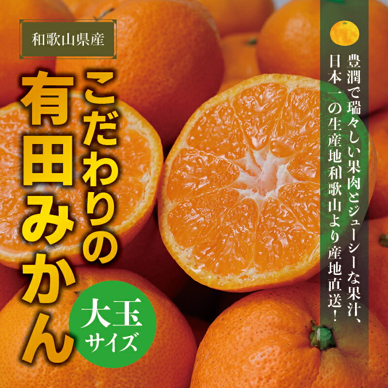 【ふるさと納税】農家直送 有田みかん 大玉 3L以上 約10kg 有機質肥料100%【※2024年12月初旬～1月中旬に順次発送(お届け日指定不可)】 先行予約 農家直送 ご家庭用 自宅用 訳ありみかん 農家直送 有機質肥料100% ミカン 訳アリ