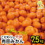 【ふるさと納税】\光センサー選別/ 農家直送 こだわりの有田みかん 約7.5kg 発送時期が選べる 2023年秋以降発送先行予約分 【11月・12月・1月発送から選べます】※日付指定不可 サイズ混合 有機質肥料100% みかん ミカン 温州みかん 有田みかん 柑橘 果物 フルーツ 8,000円