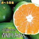 【ふるさと納税】【2025年秋頃発送予約分】【農家直送】こだわりの青切りみかん 【選べる容量】約2kg 約4kg 約5kg 約7.5kg 約10kg 有機質肥料100% サイズ混合 ※2025年9月下旬より順次発送予定(お届け日指定不可)/ みかん 果物 フルーツ くだもの ミカン 青切り 有田みかん