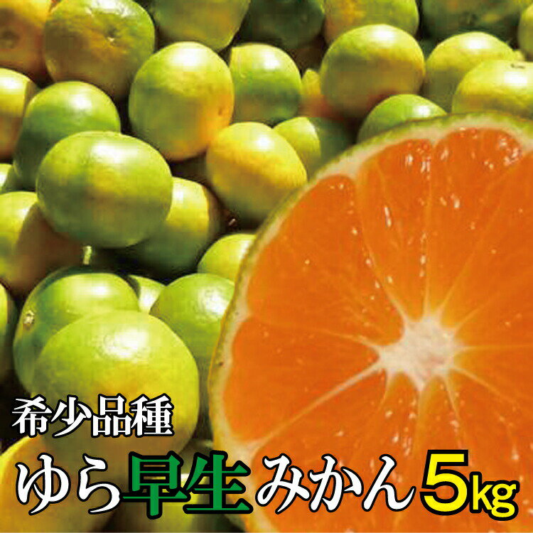 ＼光センサー選別/＼農家直送/ 甘くて濃厚 希少品種 ゆら早生みかん 約5kg 有機質肥料100% [2024年10月上旬より順次発送予定(お届け日指定不可)] みかん ミカン 柑橘 フルーツ 果物