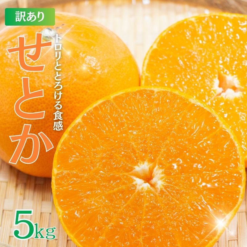 【ふるさと納税】＼光センサー選別／ 数量限定 ちょこっと訳あり せとか 約5kg【ご家庭用】 ※2024年2月下旬より順次発送予定（お届け日指定不可） 限定 ワケあり 訳アリ ワケアリ みかん オレンジ フルーツ 柑橘 果物 旬のサムネイル