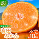 【ふるさと納税】有田みかん 農家直送 訳あり(お届け日指定不可)ご家庭用 自宅用 訳あり みかん 果物 くだもの フルーツ わけあり 10000円 12000円 15000円 農家直送 サイズ混合 有機質肥料100% 家庭用 和歌山県 有田みかん