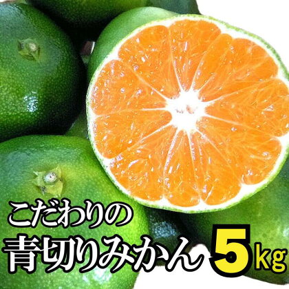 【2024年秋頃発送予約分】【農家直送】こだわりの青切りみかん 約5kg 有機質肥料100%　 サイズ混合　※2024年9月下旬より順次発送予定（お届け日指定不可）