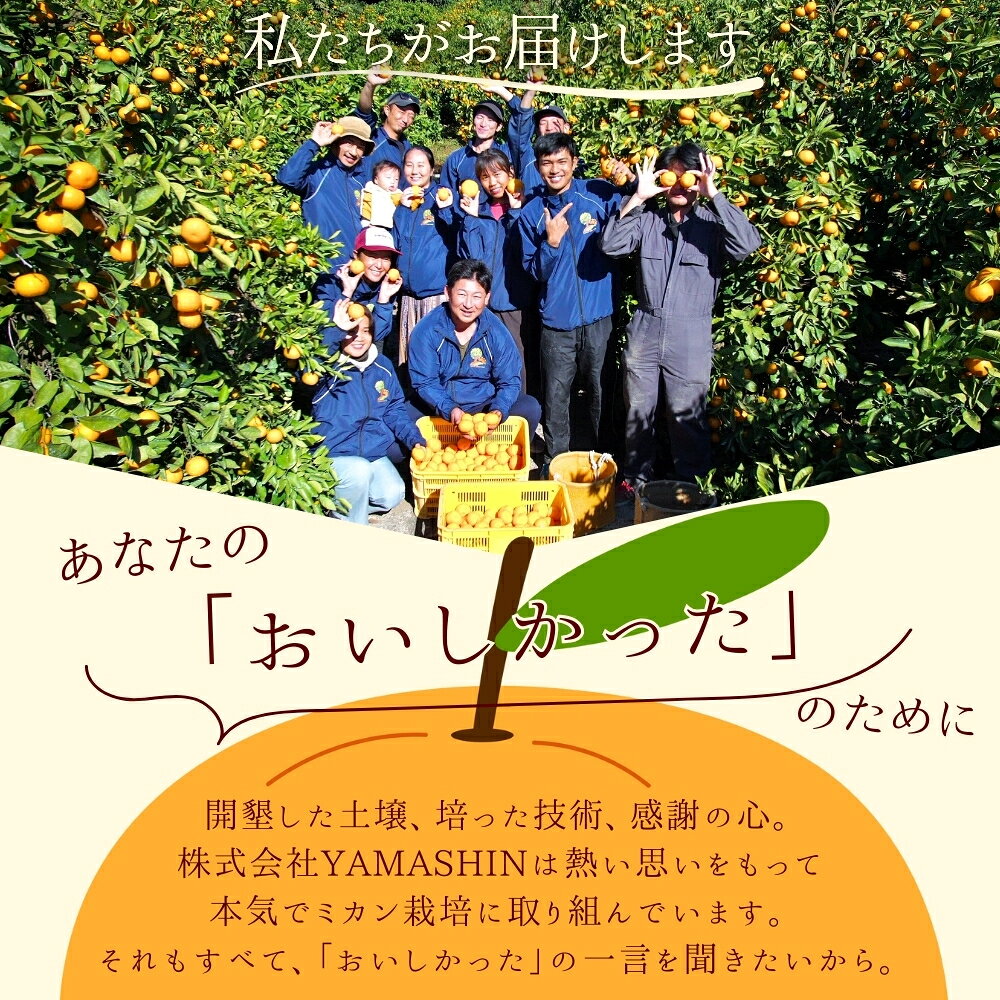 【ふるさと納税】びっくり有田みかん 大玉 3L以上 ファミリー層 高評価★★★★★【選べる容量】 / 訳あり ご家庭用 訳ありみかん 有田みかん フルーツ 果物 7.5kg 10kg 12000円 15000円 先行予約 農家直送 【※11月中旬～12月下旬に順次発送(お届け日指定不可)】