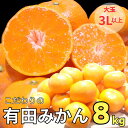 【ふるさと納税】農家直送 有田みかん 大玉 3L以上 約8kg 有機質肥料100%【※2024年12月初旬～1月中旬に順次発送(お届け日指定不可)】 先行予約 農家直送 ご家庭用 自宅用 訳ありみかん 農家直送 有機質肥料100% ミカン 訳アリ