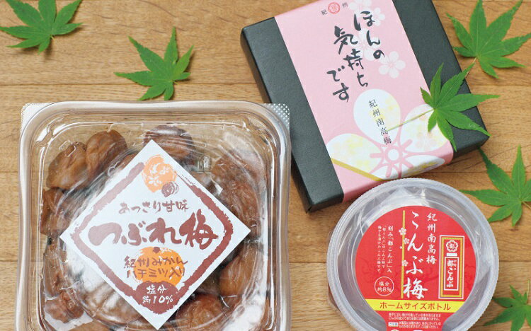【ふるさと納税】「道の駅すさみセレクト」紀州の梅干しセット/詰め合わせ 紀州南高梅 うめ ウメ つぶれのサムネイル