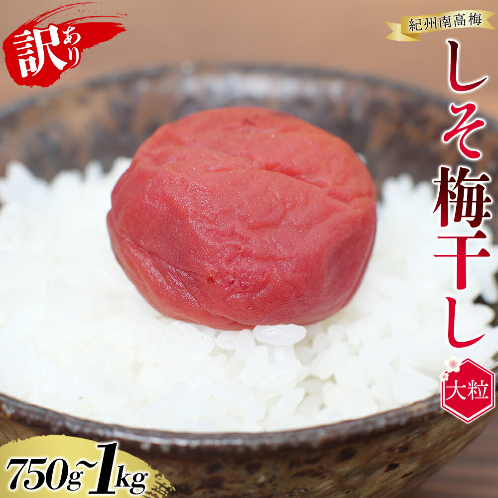 紀州南高梅 大粒 しそ漬け梅干し 和歌山 1kg 750g 塩分約8%[レビューキャンペーン実施中!] ご家庭用 無選別 訳あり 訳アリ 梅 梅干 梅干し うめ ウメ 南高梅 しそ梅 しそ梅干し しそ梅干 大粒 大容量 たっぷり お得 ご飯のお供 人気 健康
