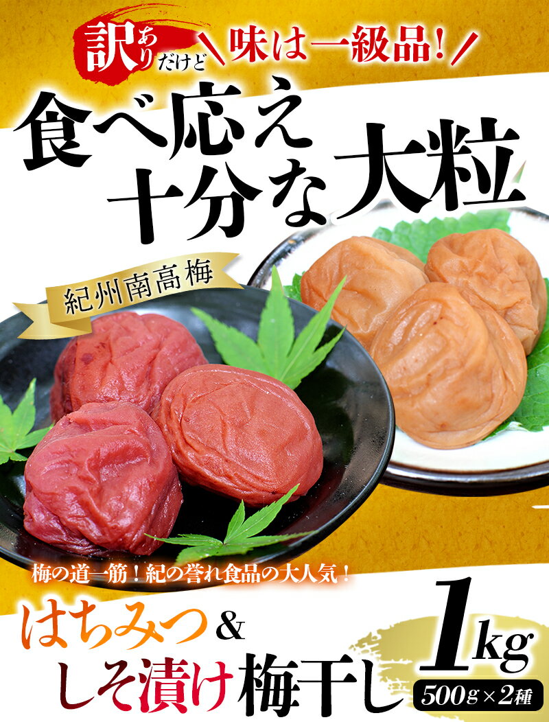 【ふるさと納税】 紀州南高梅 大粒 食べ比べセット 1kg (はちみつ500g・しそ漬500g) 塩分約8% ご家庭用 無選別 訳あり 訳アリ 梅 梅干 梅干し うめ 南高梅 はちみつ梅 はちみつ梅干 しそ梅 しそ梅干 食べ比べ 大粒 大容量 たっぷり
