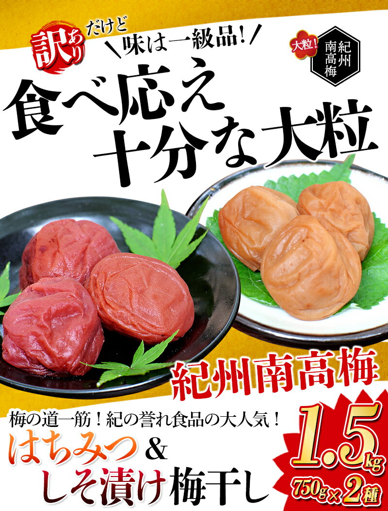 【ふるさと納税】紀州南高梅 大粒 食べ比べセット 1.5kg(はちみつ750g・しそ漬750g) 塩分約8% ご家庭用 無選別 訳あり 訳アリ 梅 梅干 梅干し うめ 南高梅 はちみつ梅 はちみつ梅干 しそ梅 しそ梅干 食べ比べ 大粒 大容量 たっぷり ご家庭用