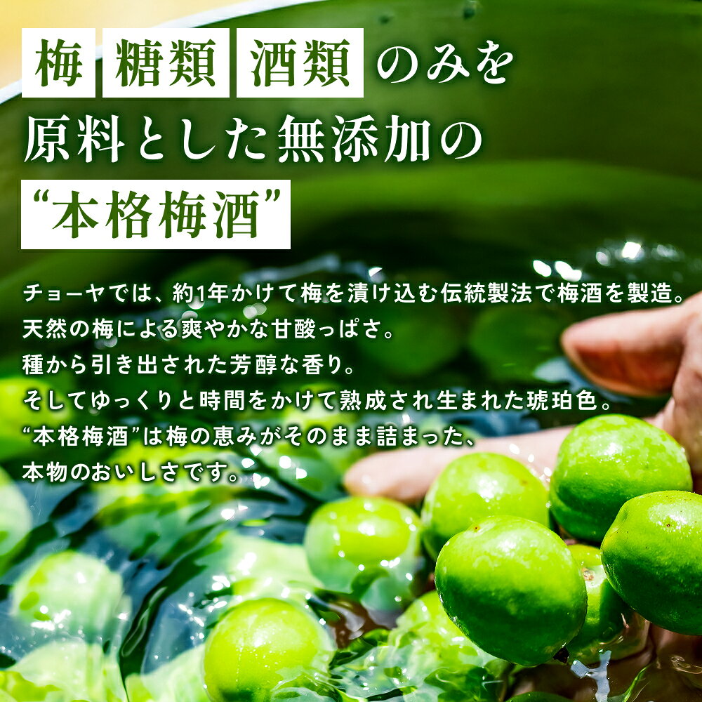 【ふるさと納税】チョーヤ さらりとした梅酒　1.8Lパック×6本(1ケース)/梅酒 梅 ウメ お酒 リキュール 酒 紀州 和歌山 CHOYA 国産