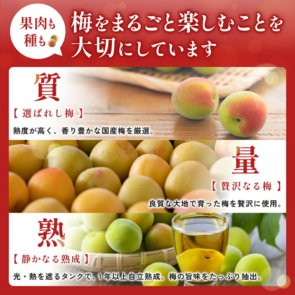 【ふるさと納税】チョーヤ さらりとした梅酒　500mlパック×12本(1ケース)/梅酒 梅 ウメ お酒 リキュール 酒 紀州 和歌山 CHOYA 国産 f304069-susami-10001635 和歌山県すさみ町 サンプル画像3