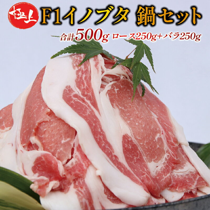 F1 イノブタ鍋セット (ロース250g・バラ250g・ギフトボックス) INOBUTA いのぶた 猪豚肉 小分け スライス【数量限定】