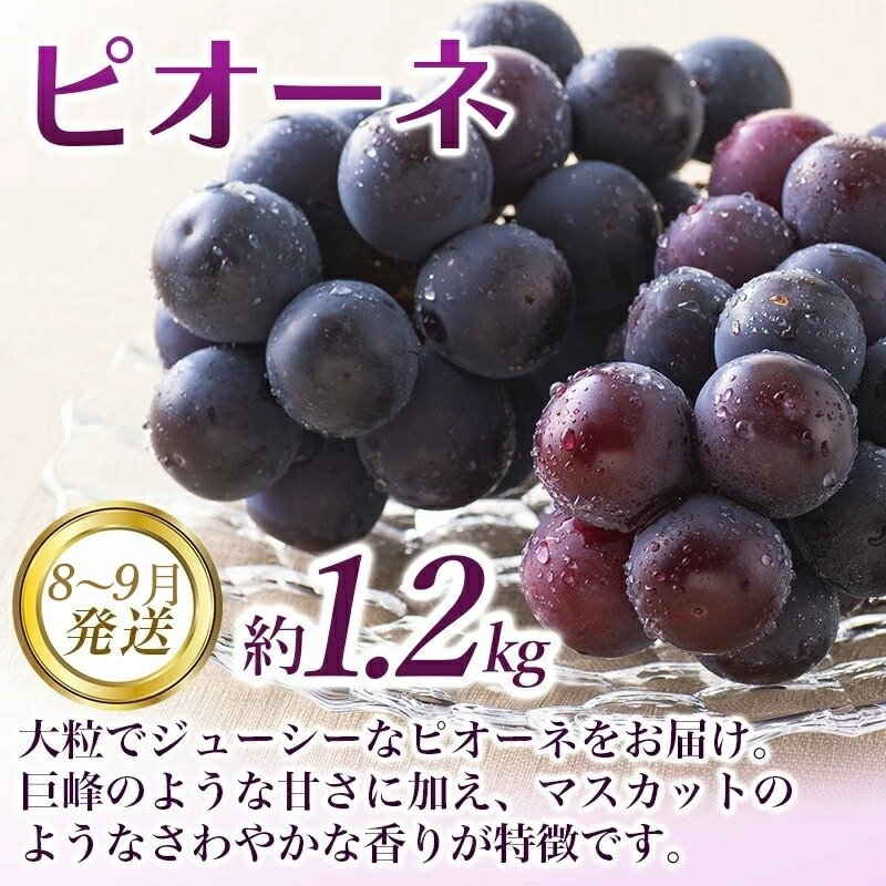 【ふるさと納税】 【全3回定期便】和歌山の旬のフルーツ定期便！人気の桃・ピオーネ・梨をお届け♪ /フルーツ 果物 くだもの もも モモ ピオーネ ぶどう ブドウ 梨 ナシ なし 旬 人気 定期便 f304069-susami-10001863 和歌山県すさみ町 サンプル画像3