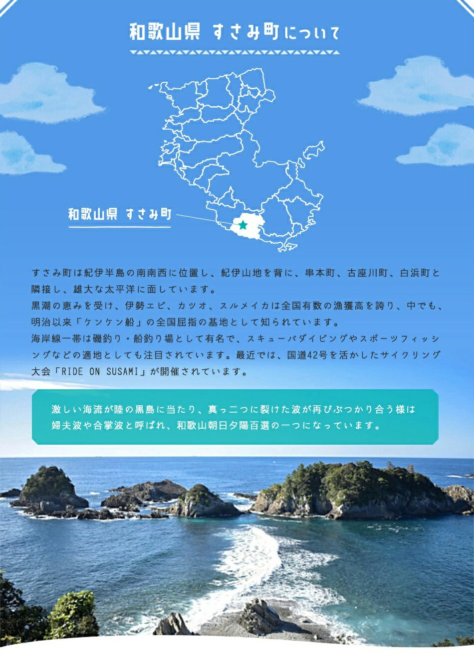 返礼品なし和歌山県すさみ町への寄附 1,000円寄附のみの受付となります