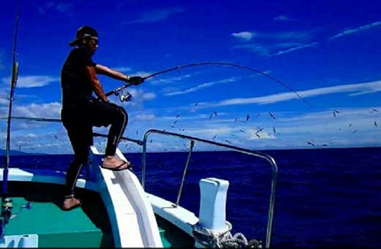 【ふるさと納税】【マグロキャストチャーター】第八大洋丸 1日チャーター券(大人6名迄) /まぐろ 鮪