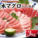 【ふるさと納税】本 マグロ 養殖 トロ 赤身 計3kg | 鮪 セット 詰合せ 詰め合わせ 魚 魚介類 お取り寄せ グルメ maguro 人気 おススメ 和歌山県 那智勝浦町 和歌山 返礼品 海鮮 刺身 刺し身 お刺身 さしみ まぐろ 大トロ 中トロ 本マグロ 食べ比べ 食べ比べセット 酒の肴