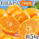 【ふるさと納税】ご家庭用 濃厚 完熟 有田 みかん 5kg【