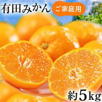 【ふるさと納税】ご家庭用 濃厚 完熟 有田 みかん 5kg【先行予約 2024年11月下旬～12月中旬発送】【訳あり】【農家直送】