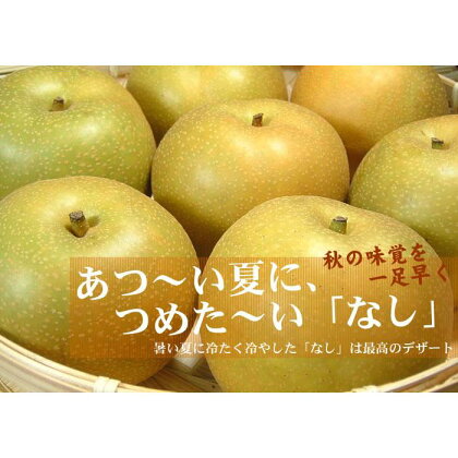 梨(なし)幸水品種 約4kg 和歌山県産 (果実サイズおまかせ) 産地直送 なし 果物 フルーツ 紀伊国屋文左衛門本舗【TC2】 | フルーツ 果物 くだもの 食品 人気 おすすめ 送料無料