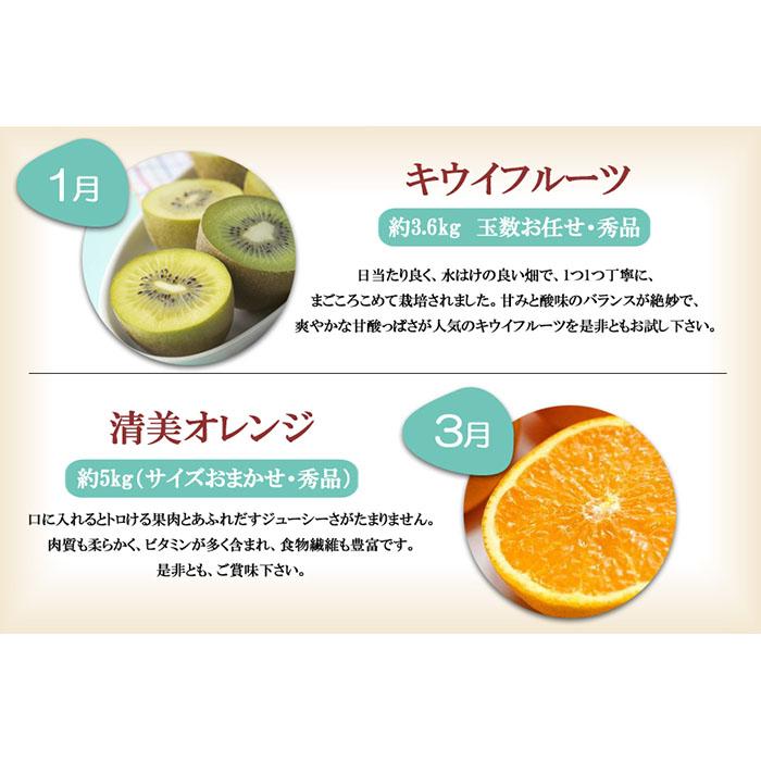 【ふるさと納税】和歌山の旬の果実を 奇数月にお...の紹介画像2