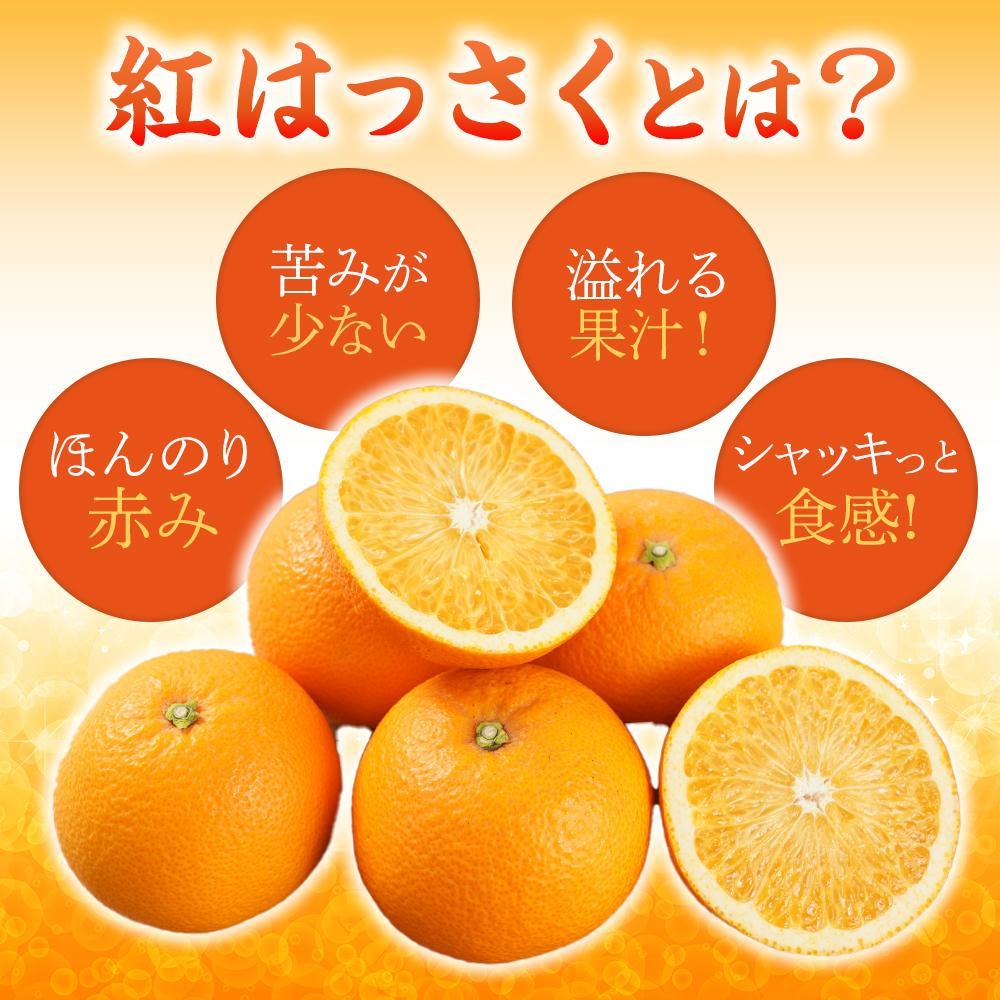 和歌山県那智勝浦町の画像2