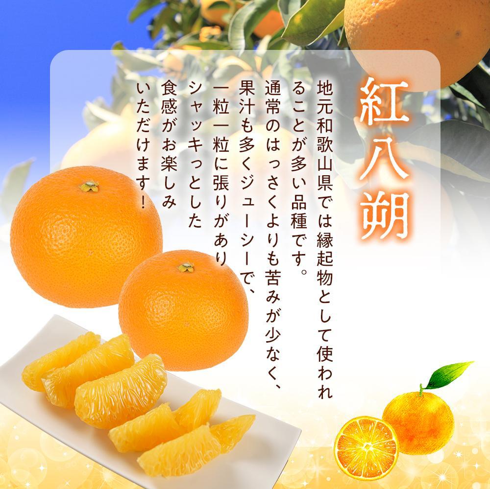 和歌山県那智勝浦町の画像3