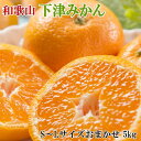 【ふるさと納税】【産直・秀品】和歌山下津みかん約5kg(S〜Lサイズおまかせ)★2025年11月中旬頃より順次発送【TM133】