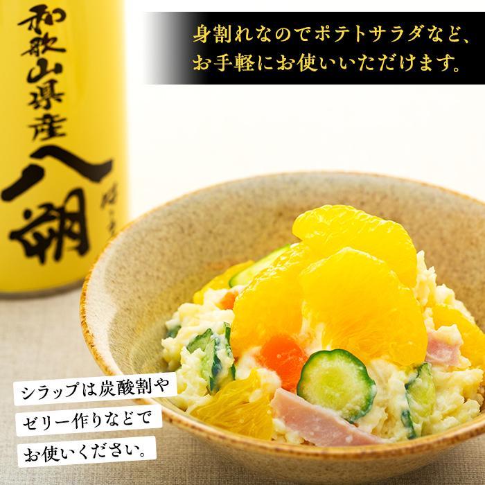 和歌山県那智勝浦町の画像2