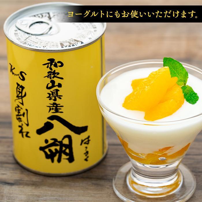 和歌山県那智勝浦町の画像3