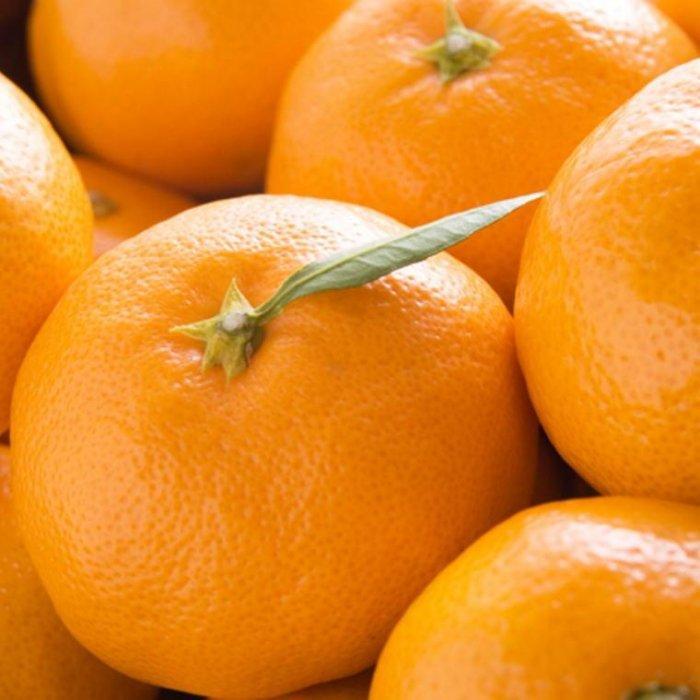 和歌山県那智勝浦町の画像2